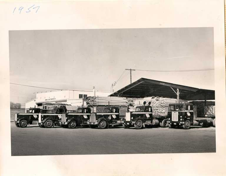 Old photo of old trucks lined up