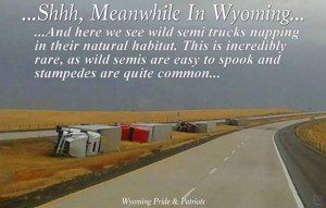 Wind in Wyoming