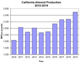 ALMOND FORECAST