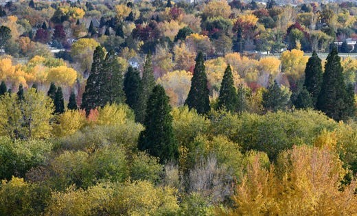 FROM NORTHERN NEVADA