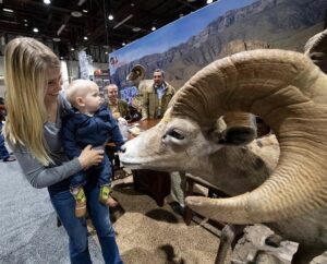 mom holding a baby in front of a mannequin long horn ram 