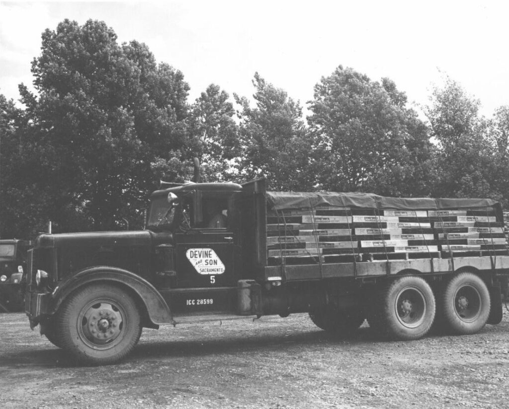 Old black and white photo taken in 1923 of Devine & Son truck. Hauling lumber.