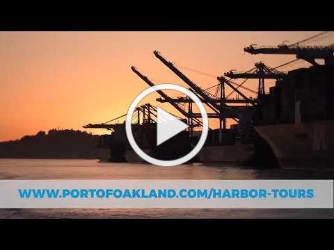 FREE HARBOR TOUR