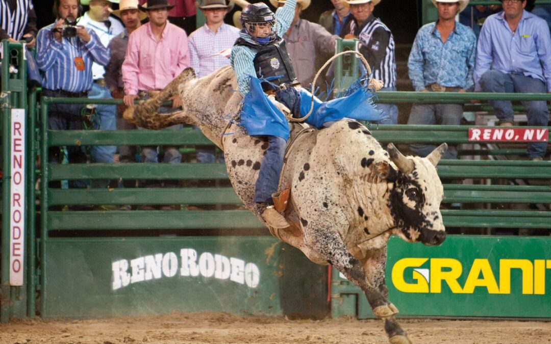 ROMPING GOOD TIME