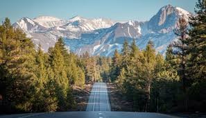 ROAD TRIP