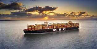 FMC FINES MSC
